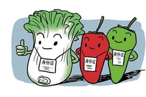 了解食品经营许可证的前后要点
